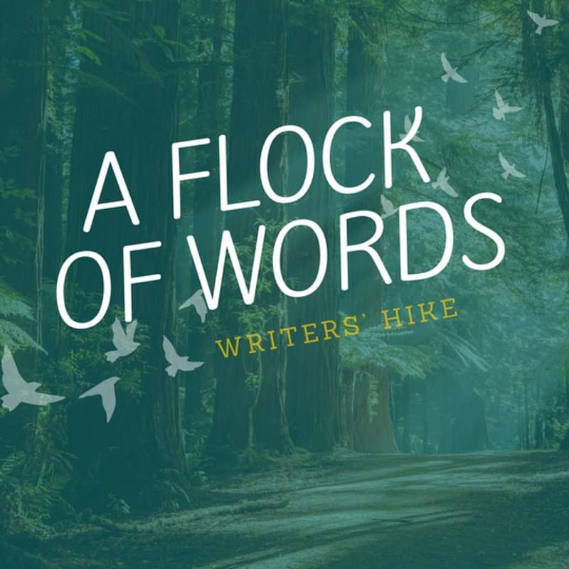 Cover Image for A Flock of Words