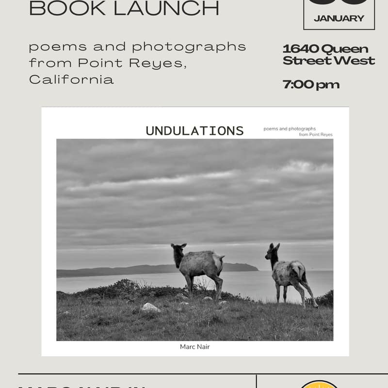 Cover Image for Book Launch: Marc Nair