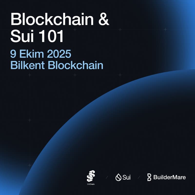 Cover Image for SUI-101