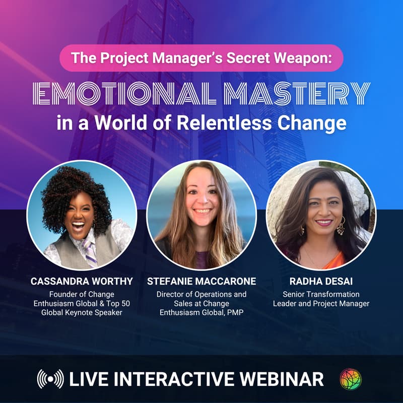 Cover Image for The Project Manager’s Secret Weapon: Emotional Mastery in a World of Relentless Change