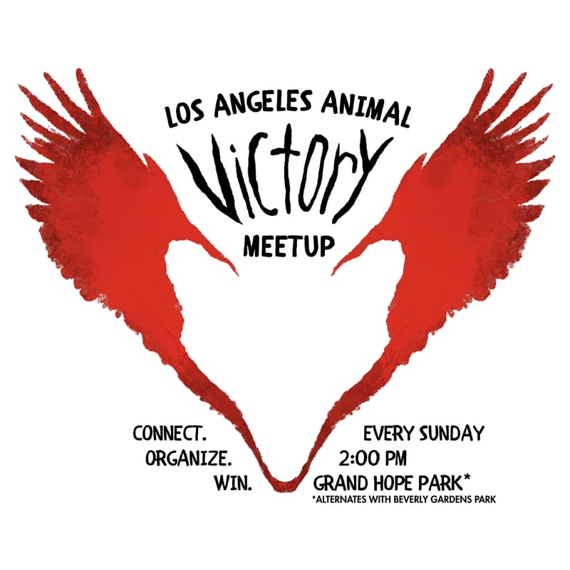 Cover Image for LA Animal Victory Meetup