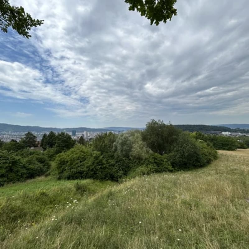 Cover Image for Founder & CEO Energy Morning Walk