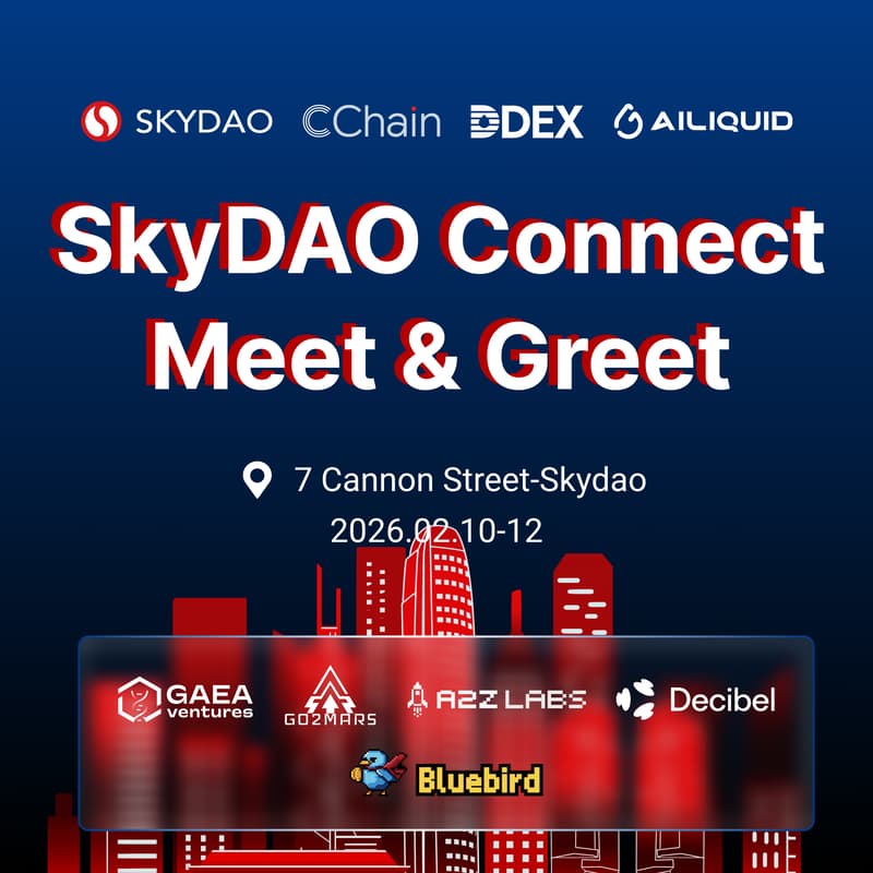 Cover Image for SkyDAO Connect,Meet & Greet