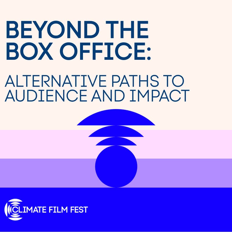 Cover Image for Beyond the Box Office: Alternative Paths to Audience and Impact