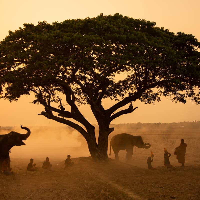 Cover Image for Ashesi Deep Dive in Ghana with Immersion