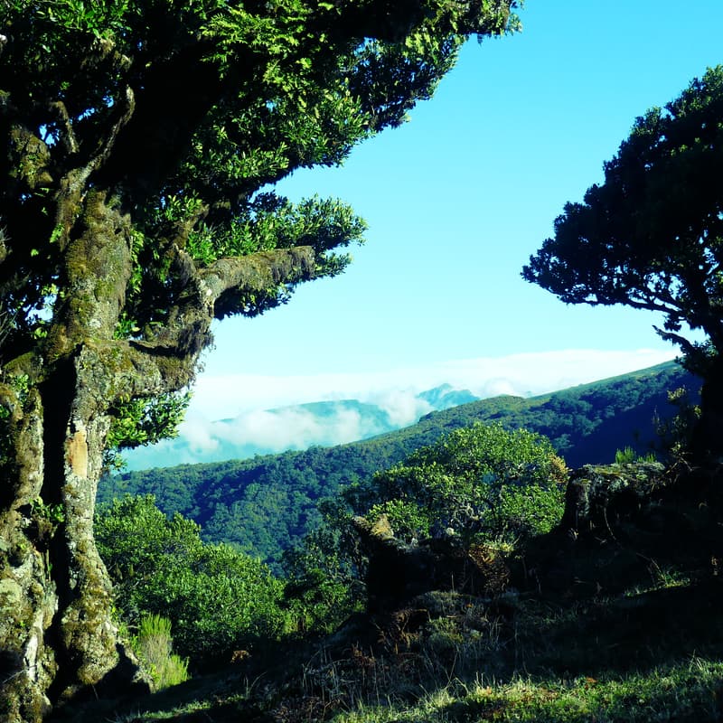 Cover Image for Training Hartscommunicatie: