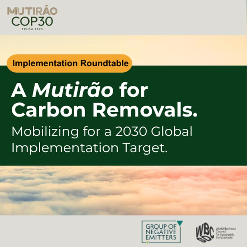 Cover Image for A Mutirão for Carbon Removals: Mobilizing for a 2030 Implementation Target