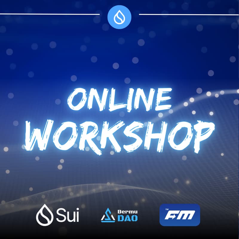 Cover Image for 🌊Sui Online Workshop