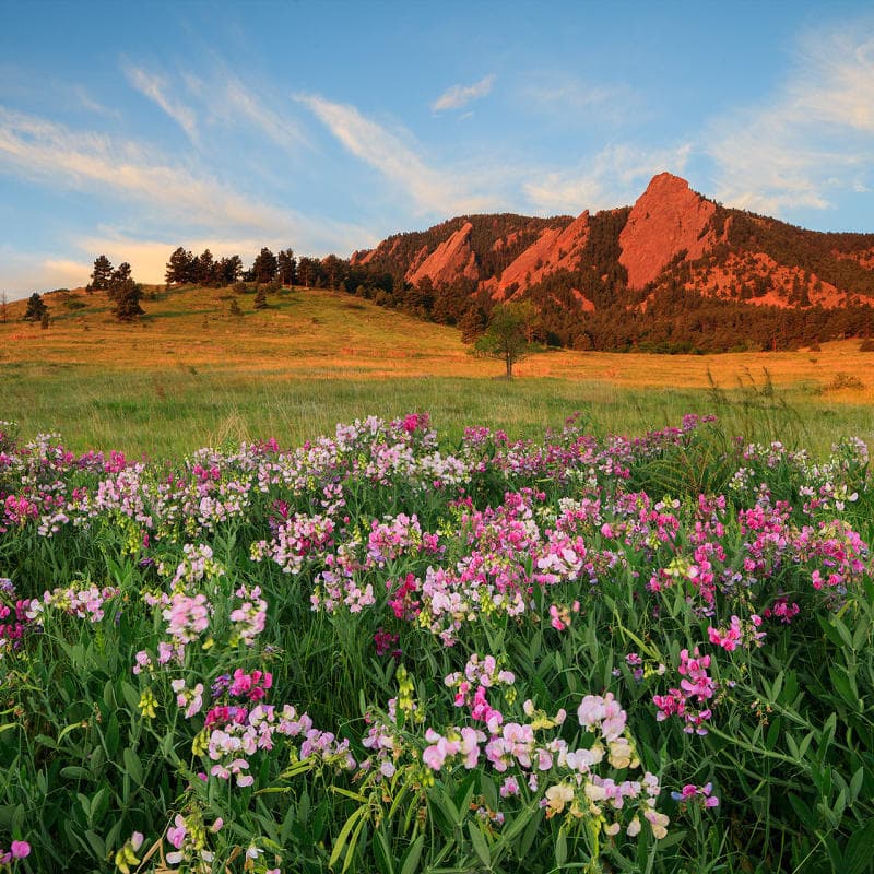 Cover Image for Hike with Haas Colorado in Boulder