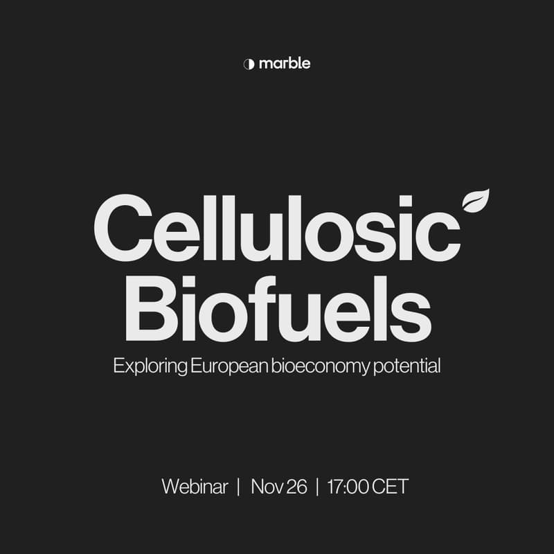 Cover Image for Unlocking Cellulosic Biofuels in Europe