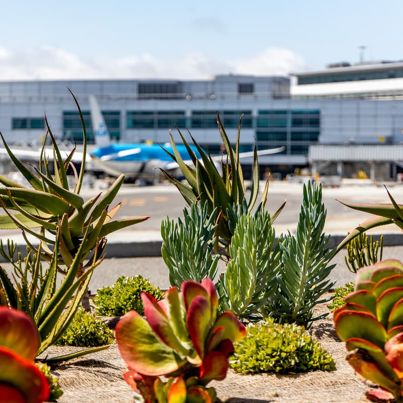 Cover Image for SFO's Journey to Zero Waste Panel | Climate Week SF