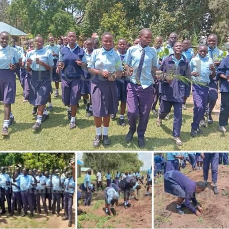 Cover Image for EarthDay Tree Planting