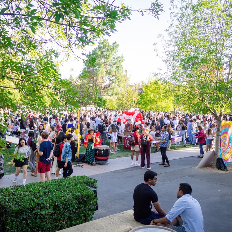 Cover Image for SBC @ FestiFall Club Fair!
