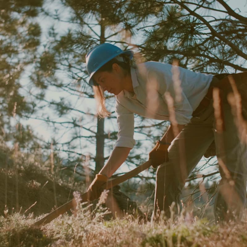 Cover Image for Restoring the Future: Closing the Loop on Wildfire Resilience
