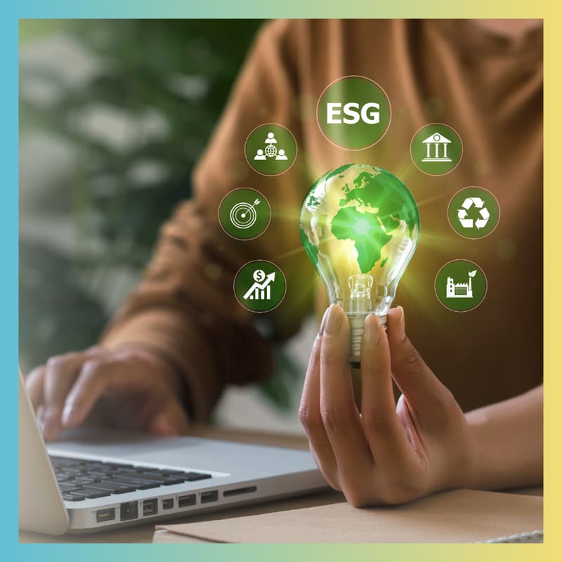 Cover Image for Live Carbon Accounting Session