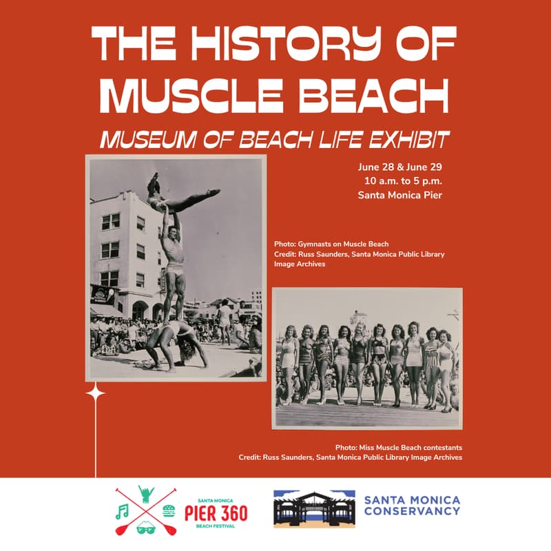 Cover Image for The History of Muscle Beach