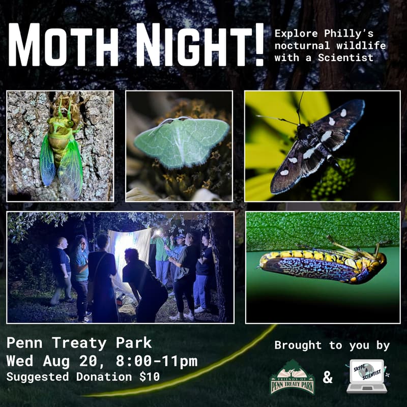 Cover Image for Moth Night at Penn Treaty Park Aug 20
