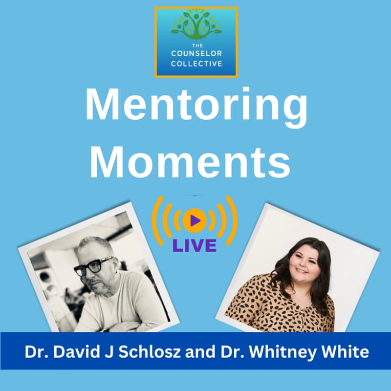 Cover Image for Mentoring Moments Live- September