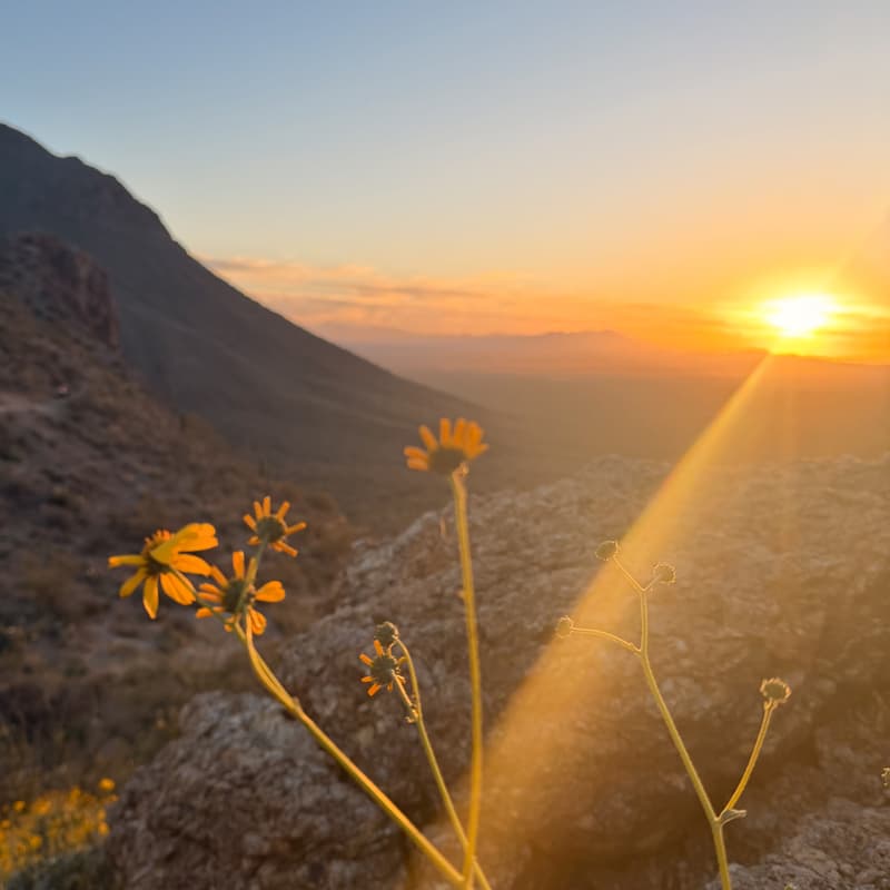 Cover Image for What It Takes to Deliver Climate Progress and Shared Prosperity