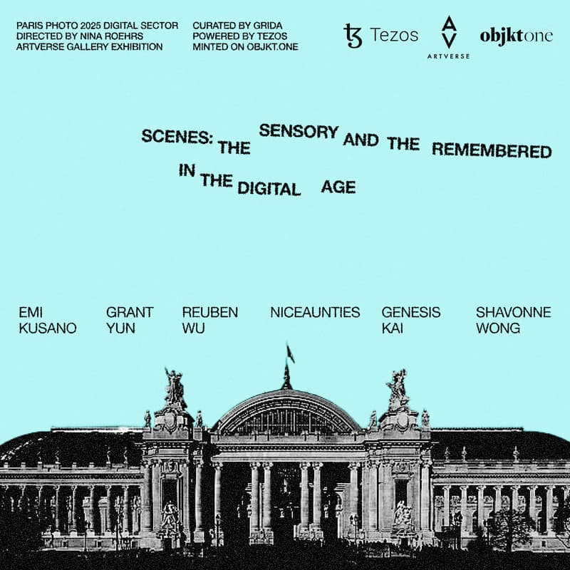 Cover Image for Paris Photo - Scenes: The Sensory and the Remembered in the Digital Age