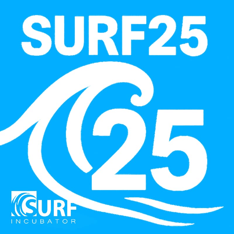 Cover Image for SURF25 Unconference: YOU Create the LIVE Agenda