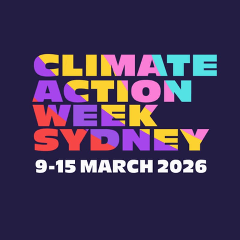 Cover Image for CAWSYD26 Volunteer Information Session: January