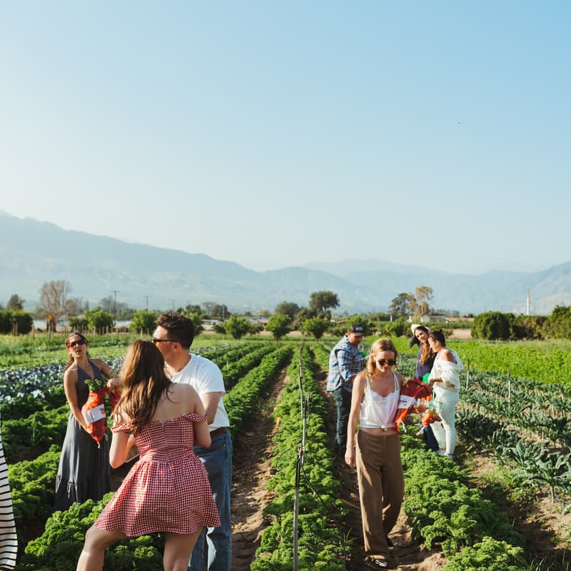 Cover Image for Family Brunch on the Farm
