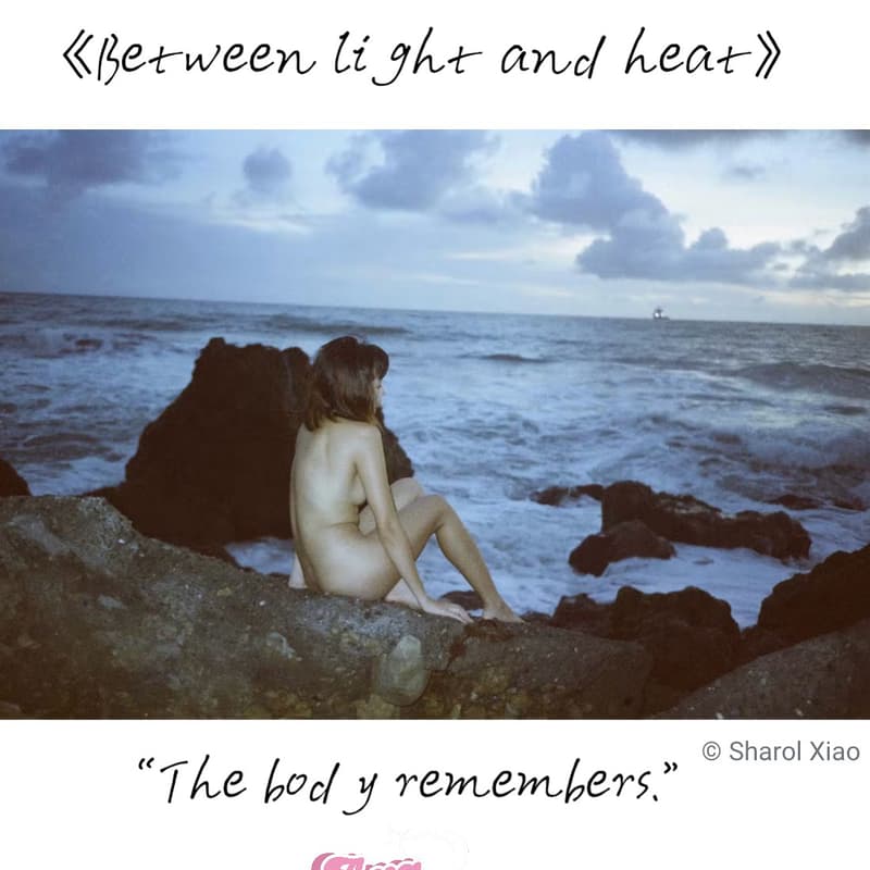 Cover Image for AraAra Community Updates