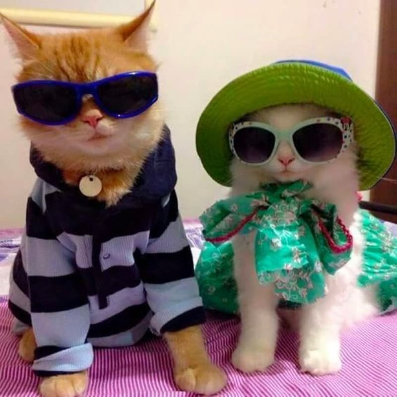 Cover Image for Jammin & Matt Baecation Planning Sesh ^w^