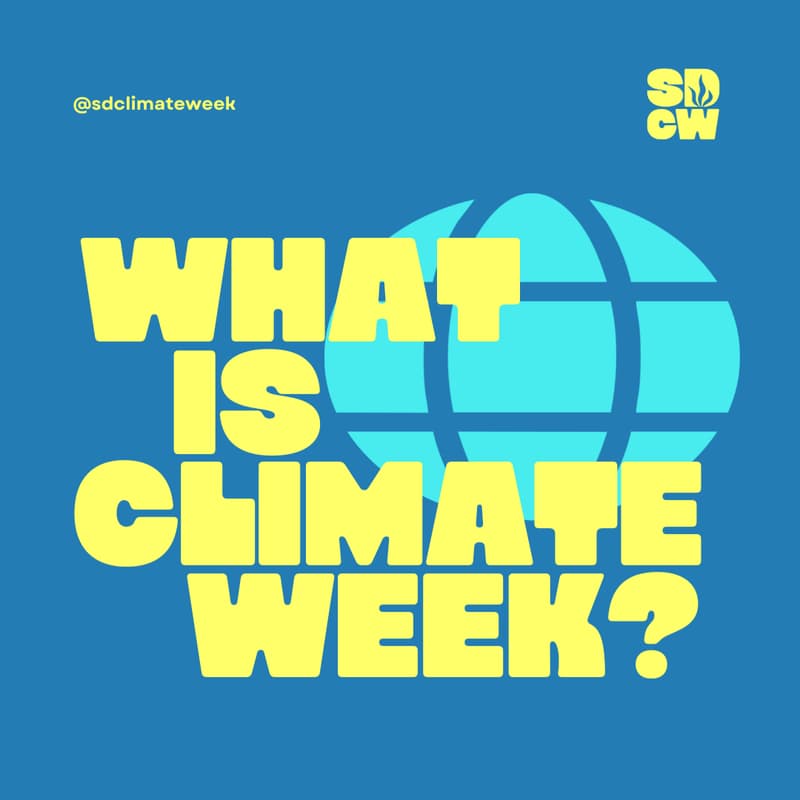 Cover Image for SDCW Info Session