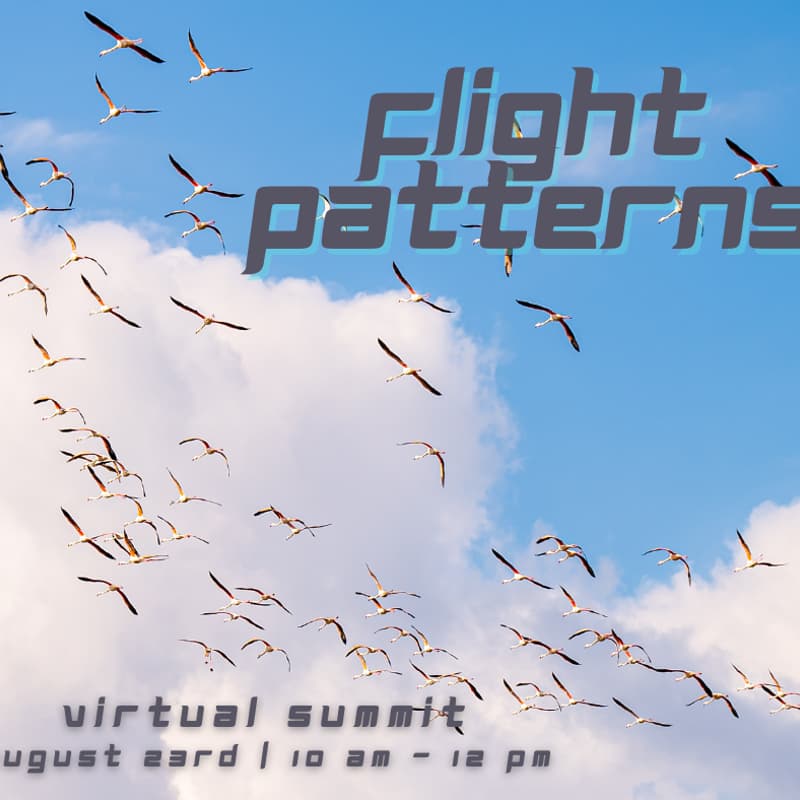 Cover Image for Flight Patterns Virtual Summit