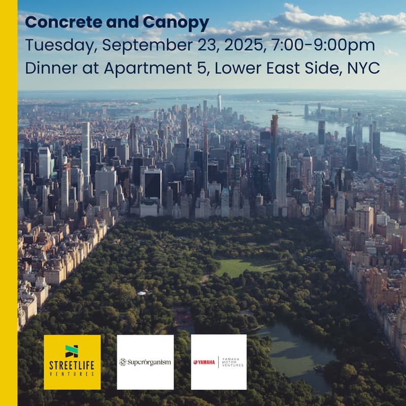 Cover Image for Concrete and Canopy