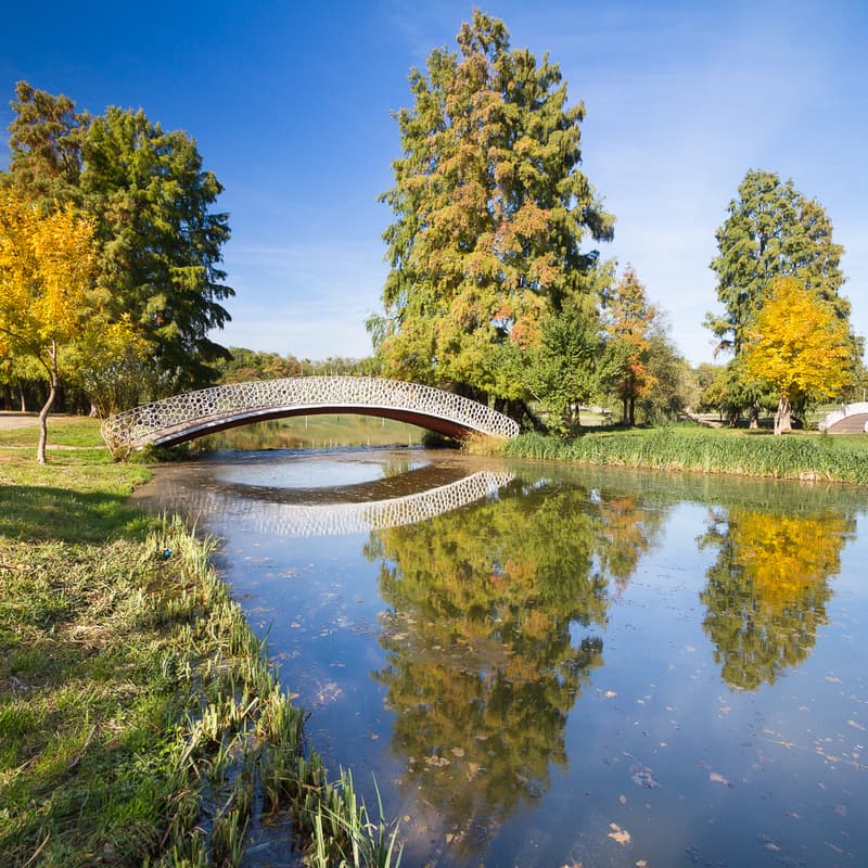 Cover Image for Tura de duminică Tineretului