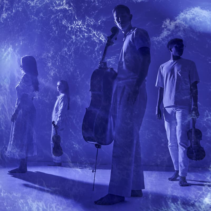 Cover Image for Palaver Strings