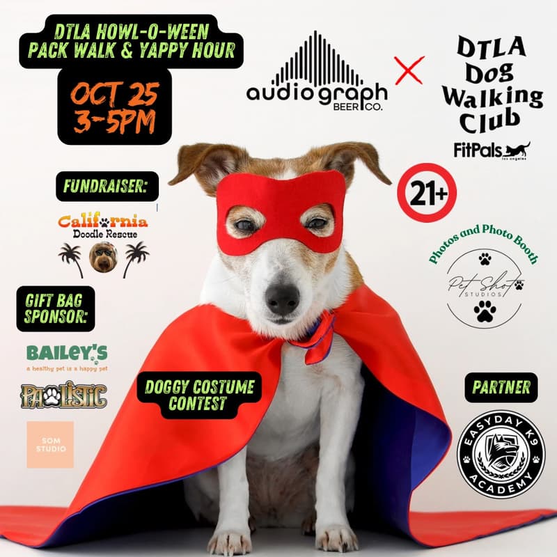 Cover Image for Howl-O-Ween Pack walk and Yappy Hour Fundraiser