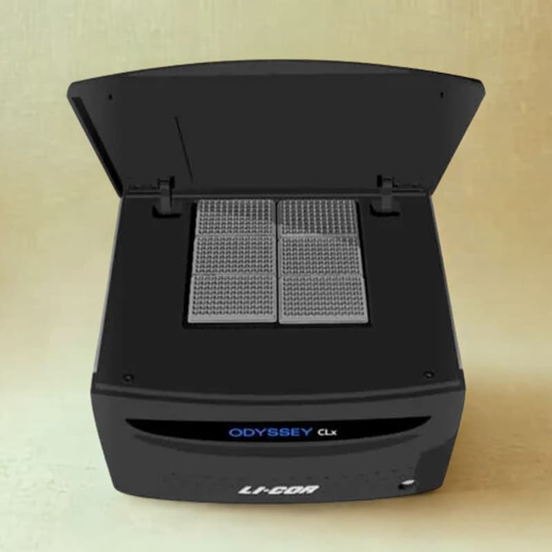 Cover Image for Odyssey CLx Imager Training @ 930 Brittan Ave