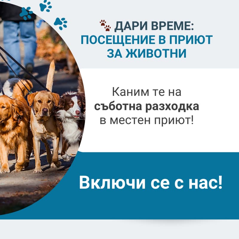 Cover Image for 🐾 Дари Време: Посещение в приют за животни