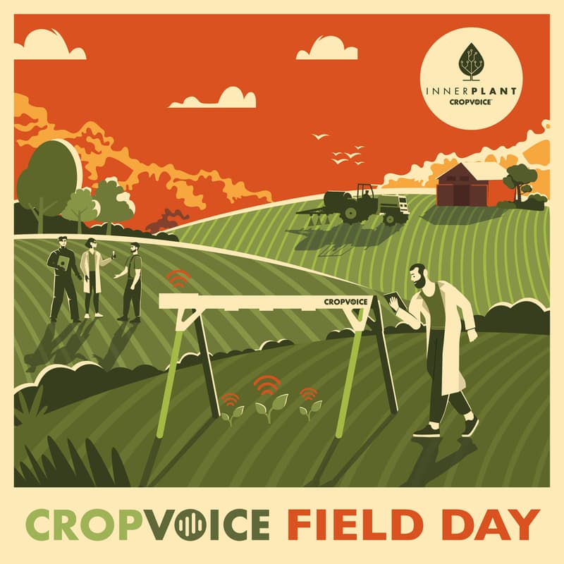 Cover Image for CropVoice Field Day - Stewardson, IL
