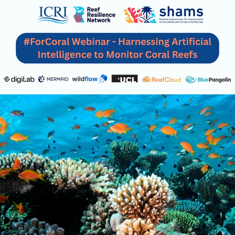 Cover Image for #ForCoral Webinar - Harnessing Artificial Intelligence to Monitor Coral Reefs