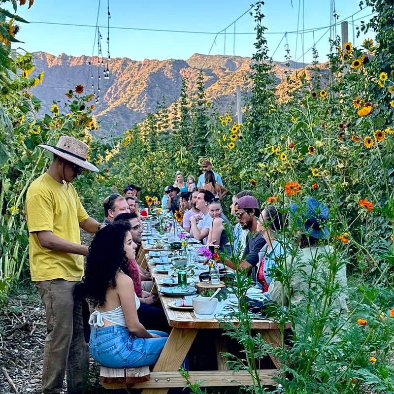 Cover Image for Farm Dinner In The Greenhouse