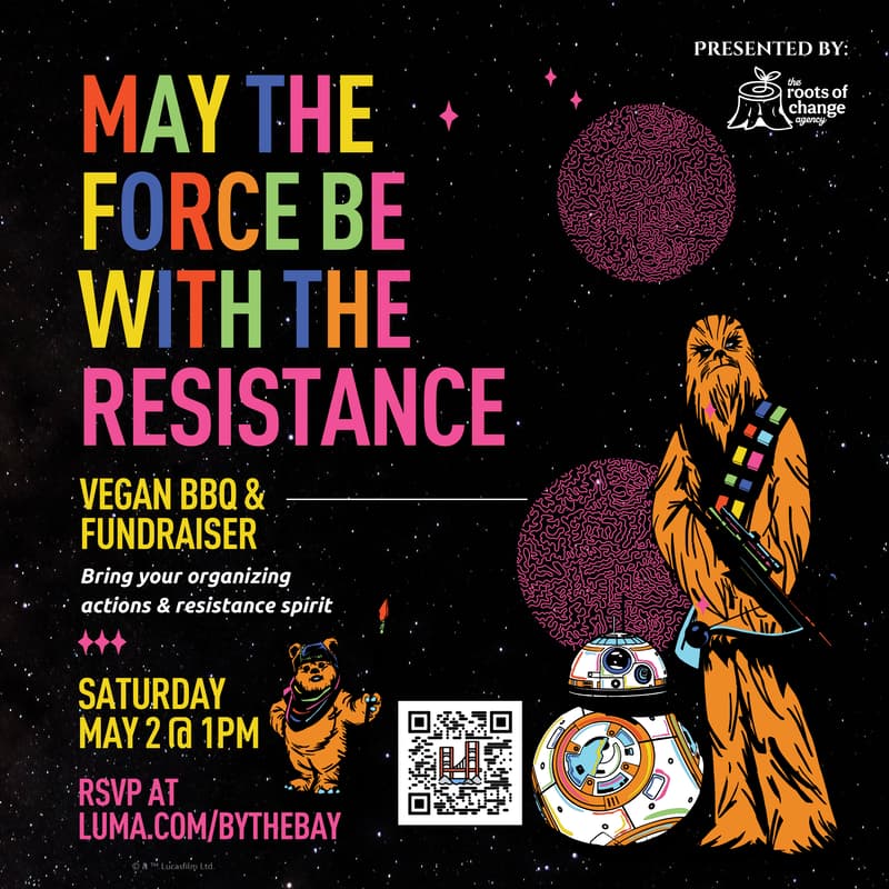 Cover Image for May the Force Be With The Resistance | BBQ for Organizers