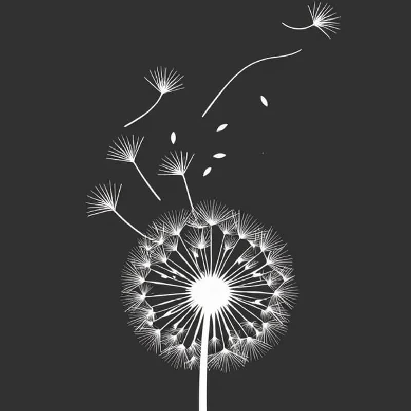 Cover Image for Open Source Practitioner Get-together