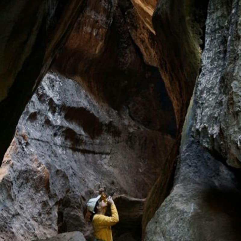 Cover Image for Decoding the Invisible: Studying Bat Ecology and Ecosystem Services Through Acoustics – with Dr. Kadambari Deshpande