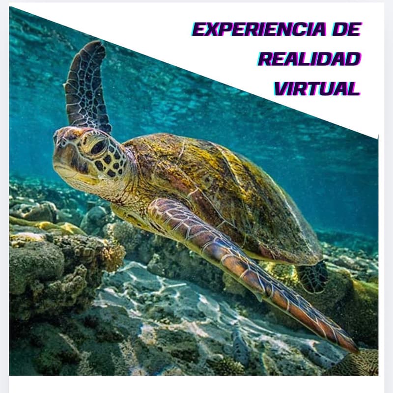 Cover Image for Conoce Los Parques Naturales De Colombia En Realidad Virtual