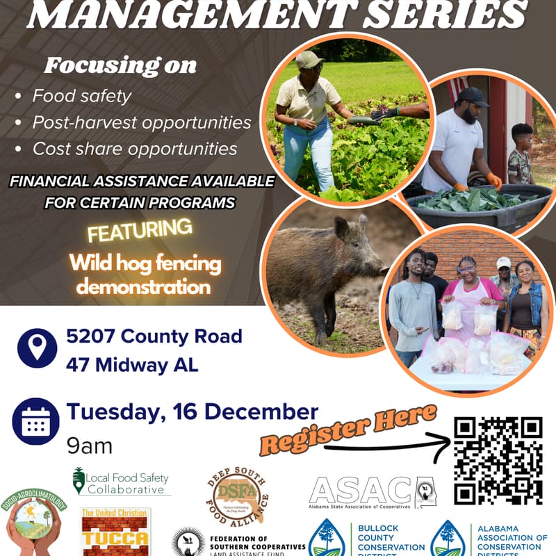 Cover Image for Natural Resource Management Series