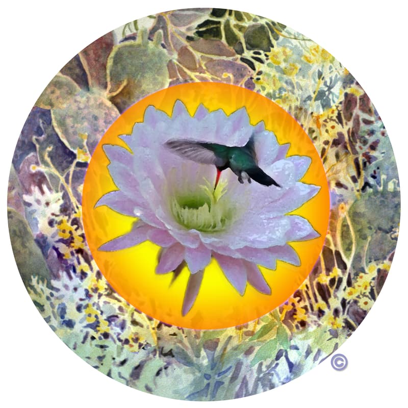 Cover Image for Flower Gala Cacao Ceremony