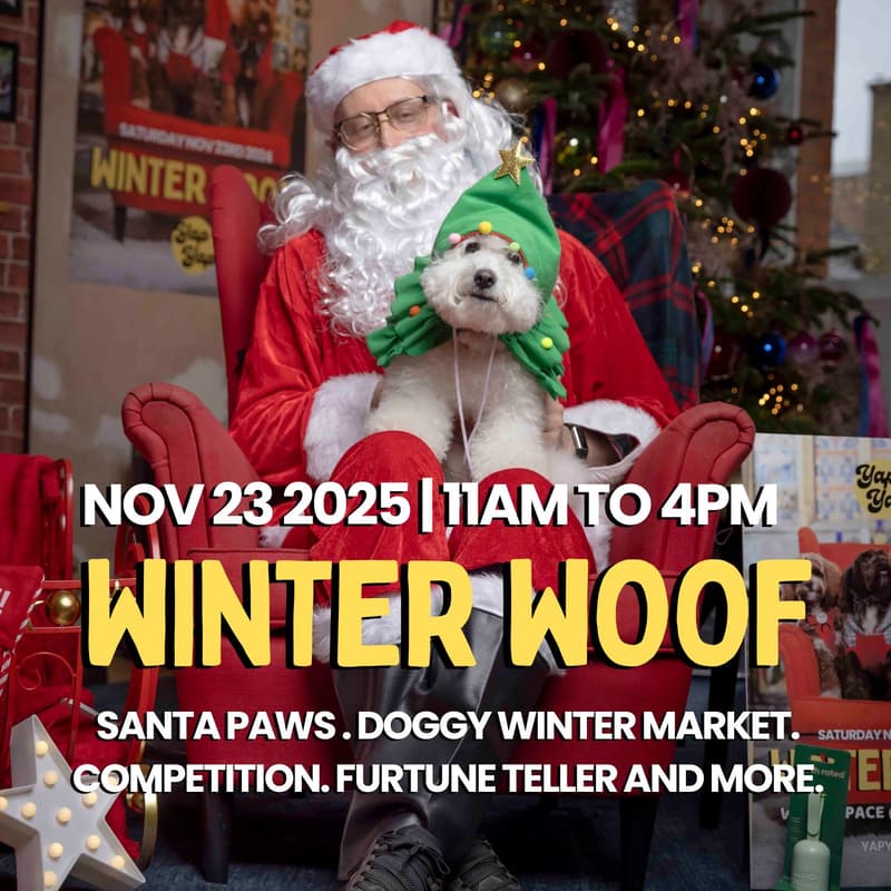 Cover Image for Winter Woof 2025