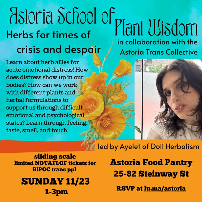 Cover Image for Doll Herbalism