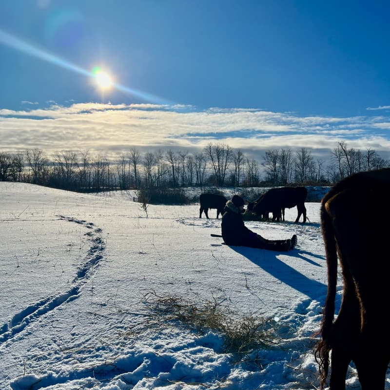 Cover Image for Merkaba Acres Farm to Table Winter Dinner