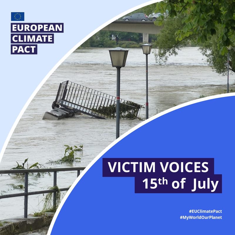 Cover Image for Victim Voices Videos